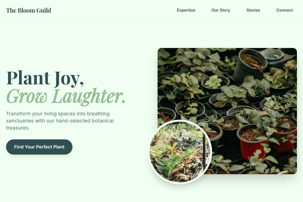Apron Plant Nursery