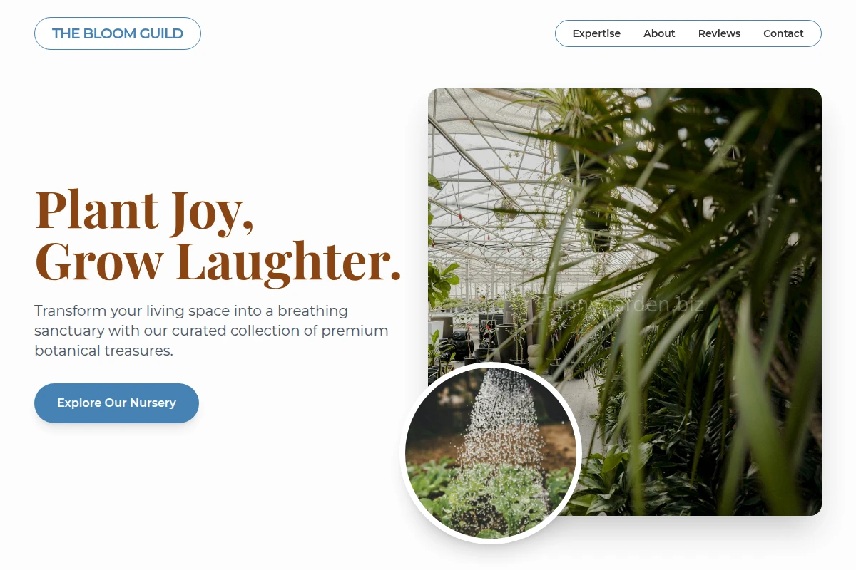 Glove Plant Nursery
